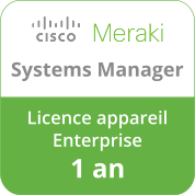 Licence 1 an Systems Manager